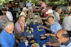 picnic-5