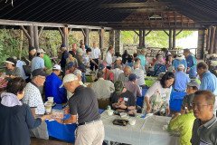 picnic-6