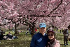cherry-2